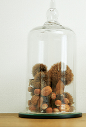 オータムインテリア