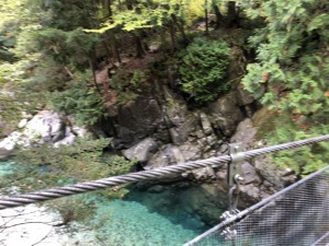 IMG_4657
