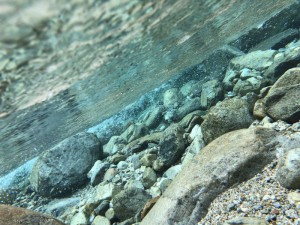 IMG_4675