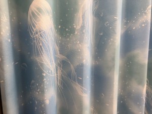 20210925_094301000_iOS