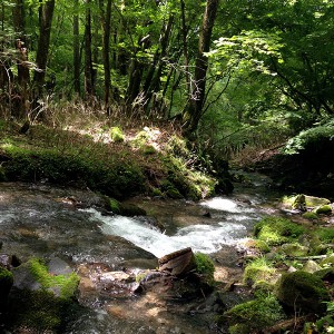 砥川上流